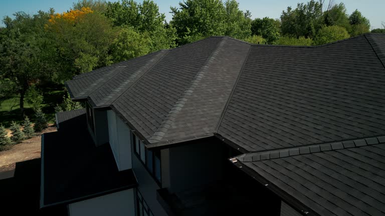 Best Roof Moss and Algae Removal  in Niverville, NY